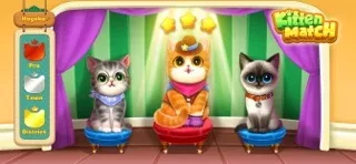 Kitten Match