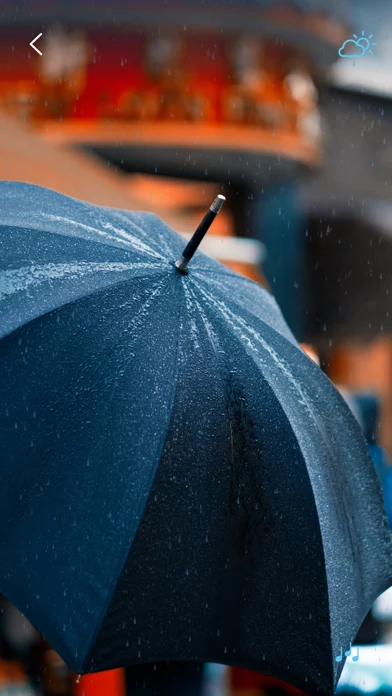 Rain Sounds - Sleep Sounds