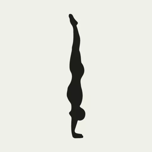 Primal Moves