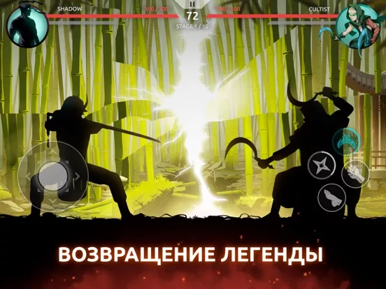 Shades: Shadow Fight Roguelike