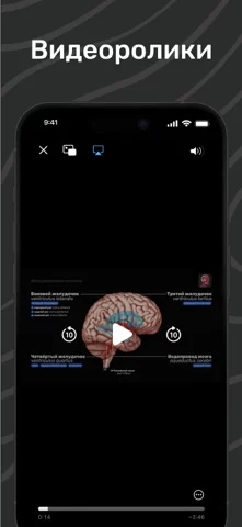 Easy Anatomy: 3D Atlas + AI