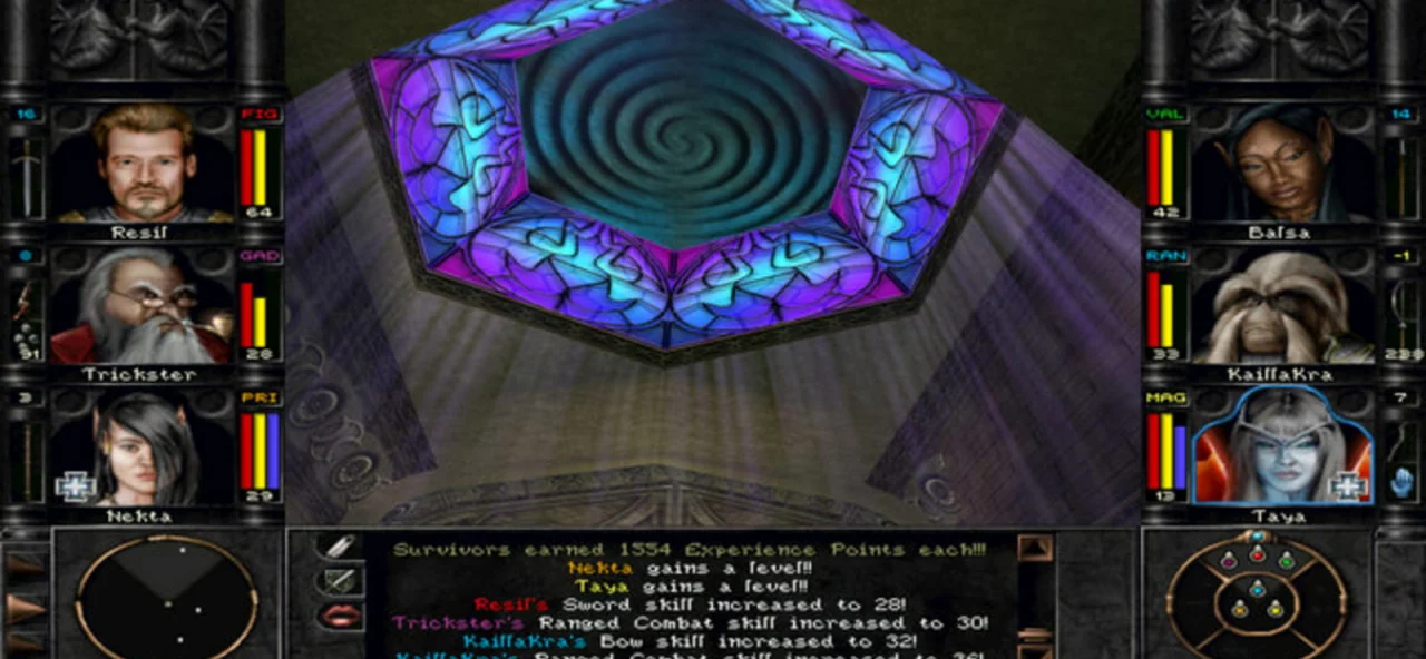 Wizardry 8