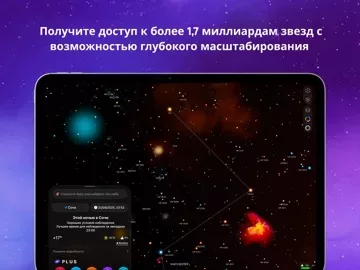 Night Sky