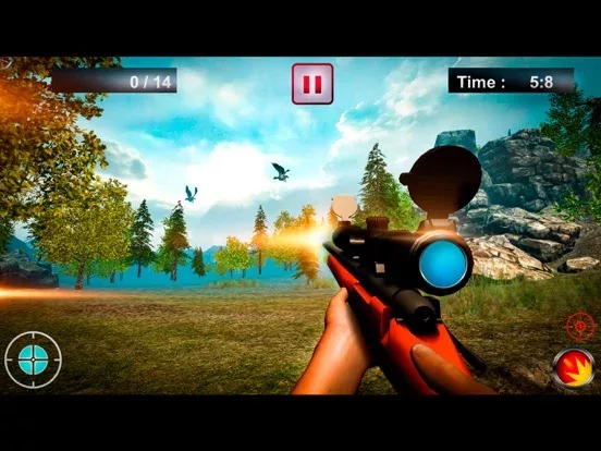 Duck Hunting Shooting Season