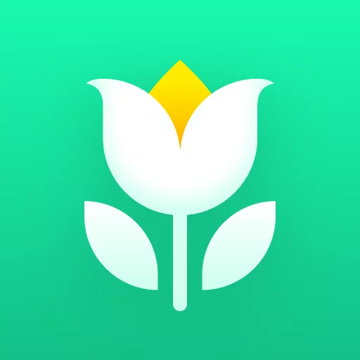 Plant Parent: Plant Care Guide