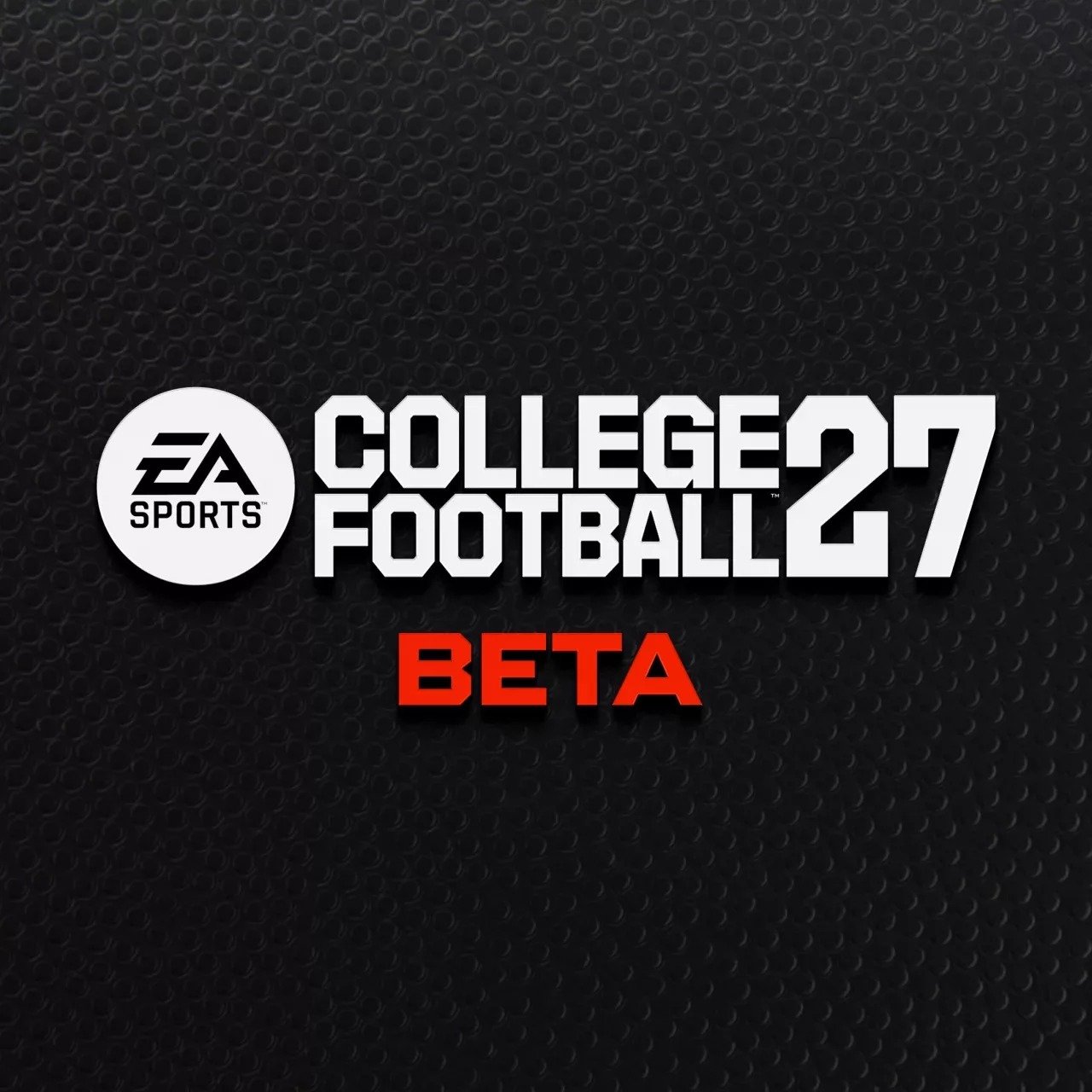 CFB27 College Football Test Realm