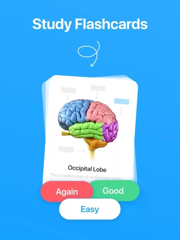 GRE & SAT Prep - Flashcards