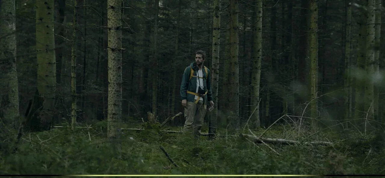 Heart of the Forest