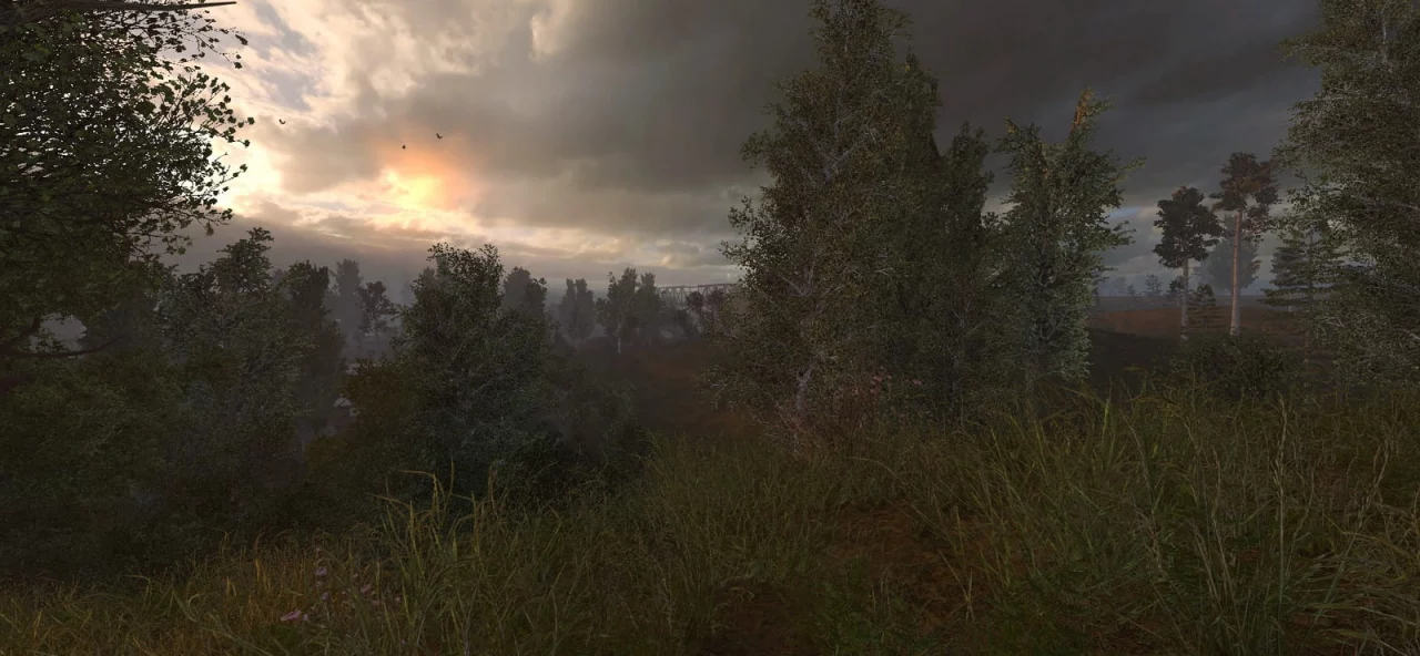 S.T.A.L.K.E.R. Anomaly