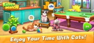 Kitten Match