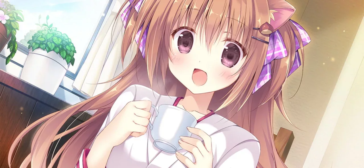 Amairo Chocolate