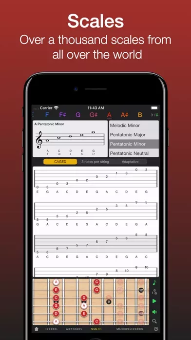 Guitar Gravitas: Chords Scales
