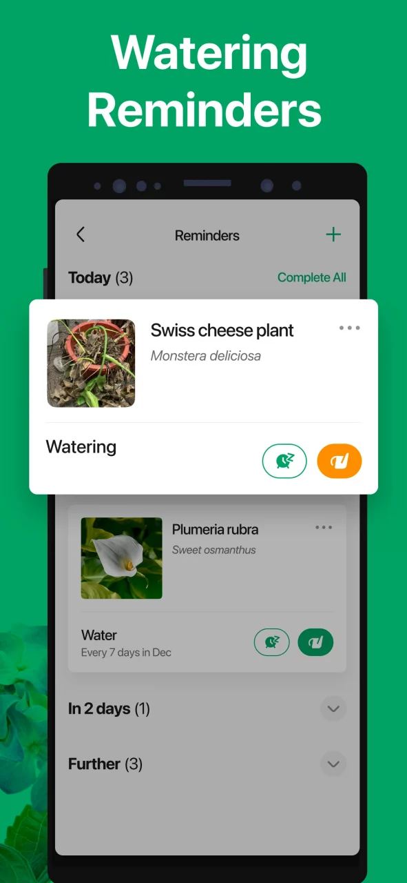 PictureThis - Plant Identifier