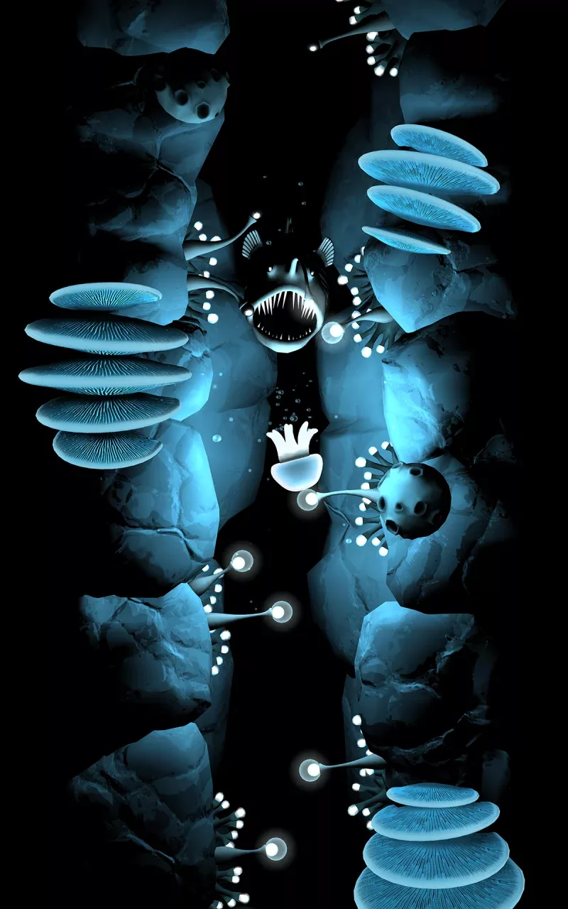 Seashine