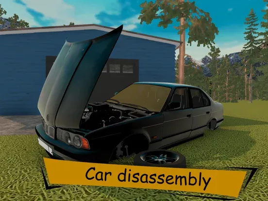 The Wildest Car