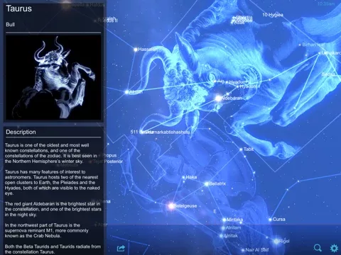 Star Chart