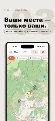 Mycel — карта грибов