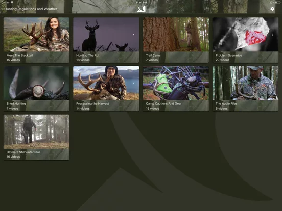 Blacktail Hunter