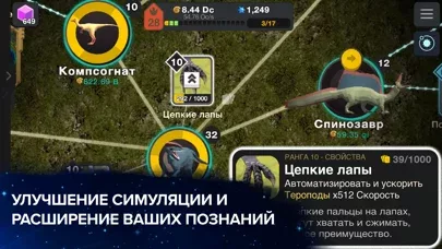 Ячейка к Сингулярности: космос