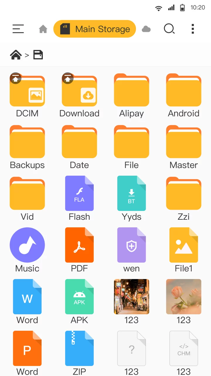 File Manager