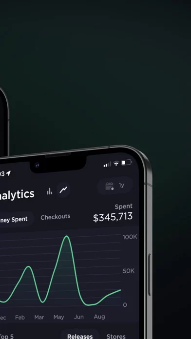 Cybersole
