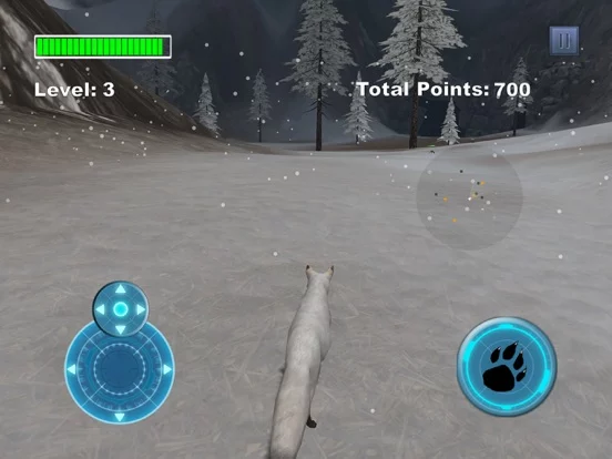 Arctic Fox