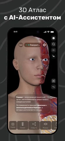 Easy Anatomy: 3D Atlas + AI