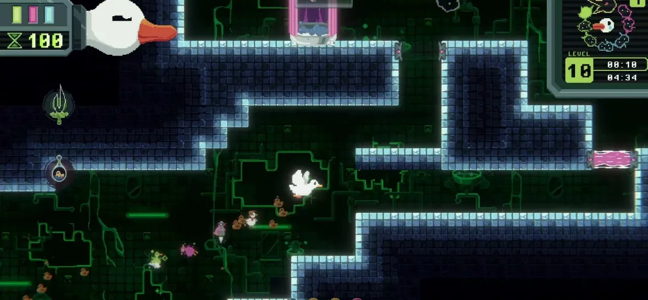 Duck Paradox Demo