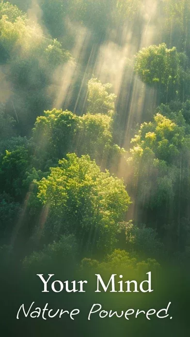 Portal - Escape Into Nature