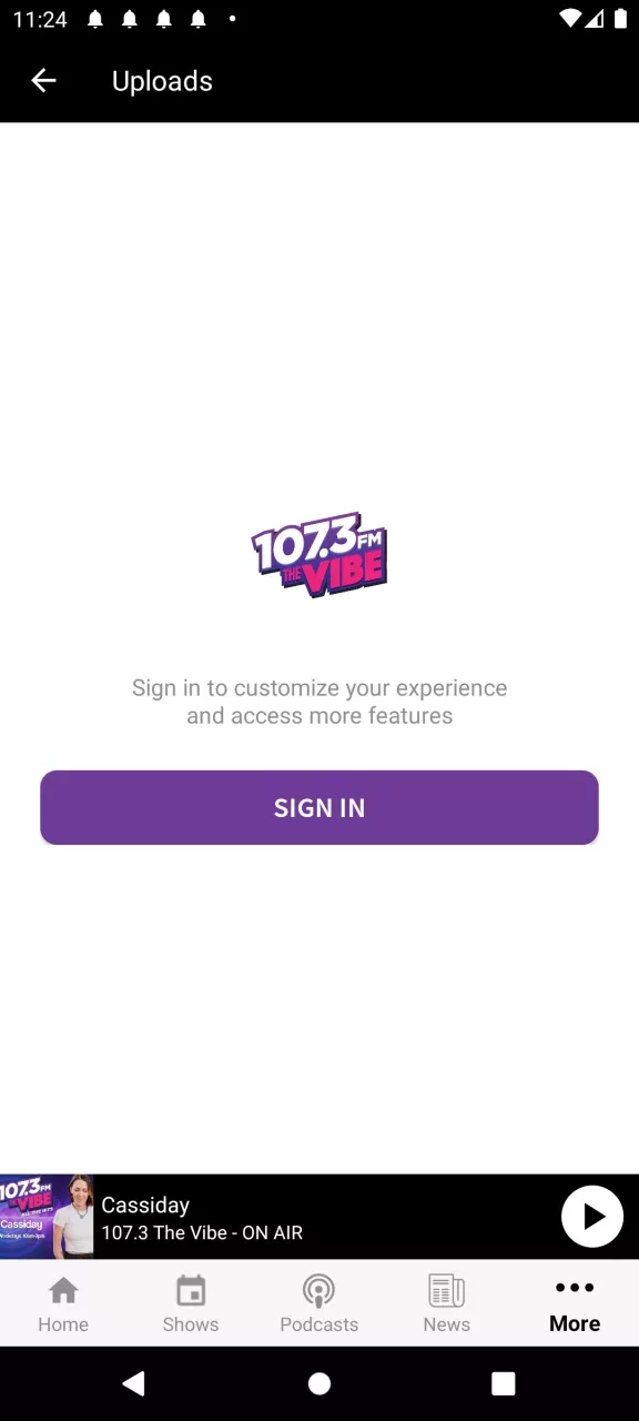 107.3 THE VIBE