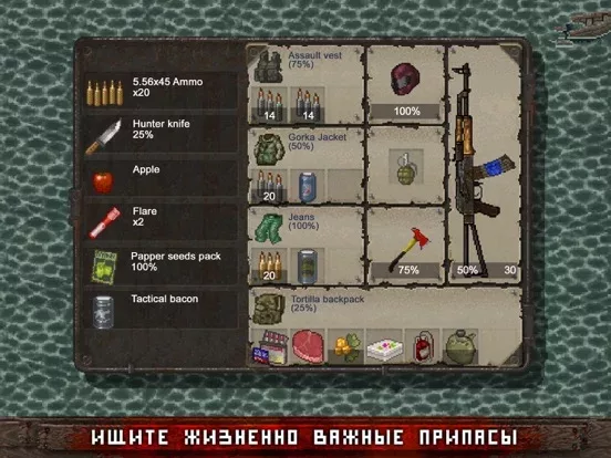 Mini DAYZ: Zombie Survival