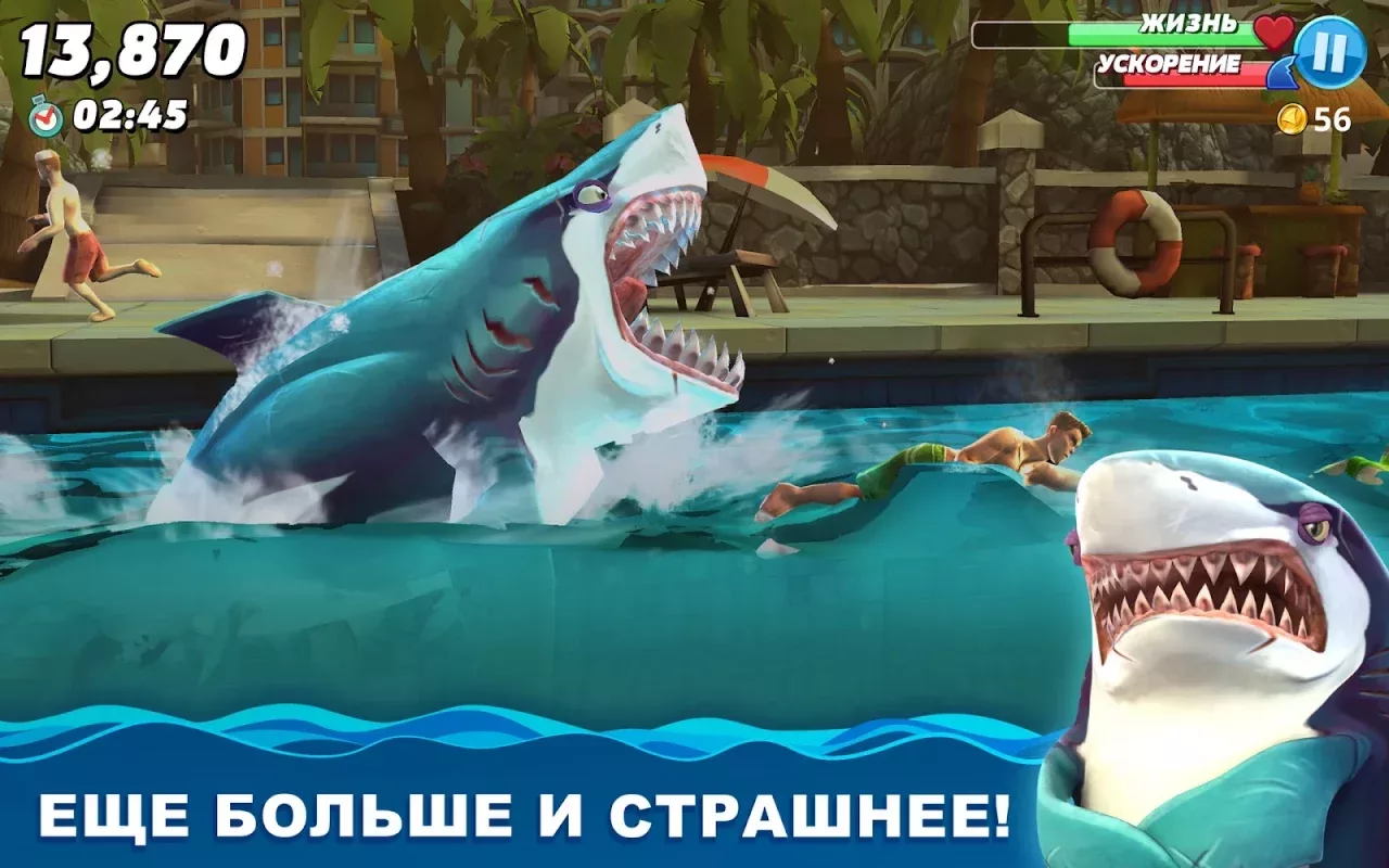 Hungry Shark World
