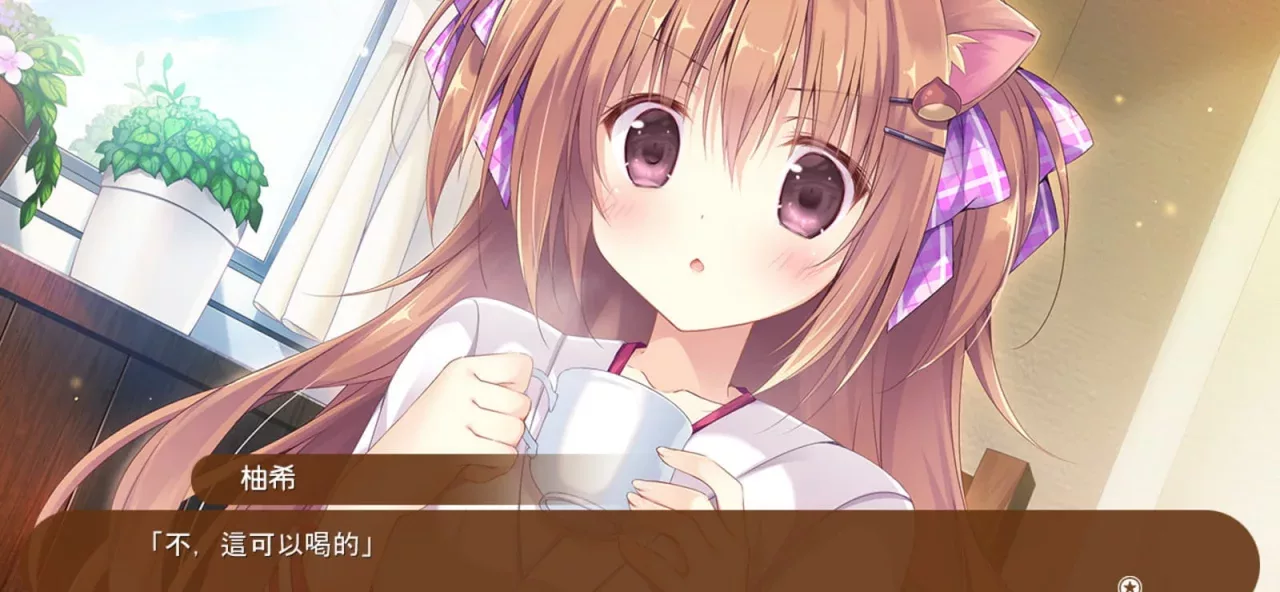 Amairo Chocolate