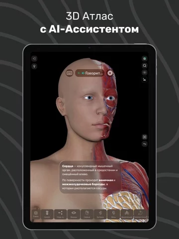 Easy Anatomy: 3D Atlas + AI