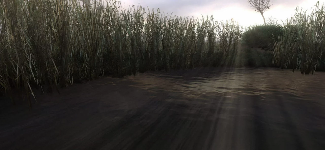 S.T.A.L.K.E.R.: Clear Sky