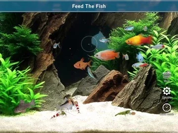 Tropical Fish Tank - Mini Aqua