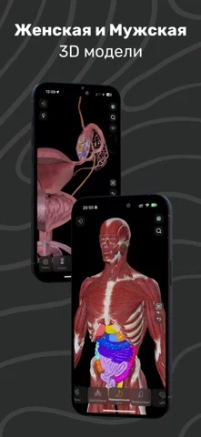Easy Anatomy: 3D Atlas + AI