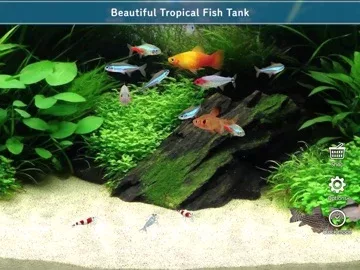 Tropical Fish Tank - Mini Aqua