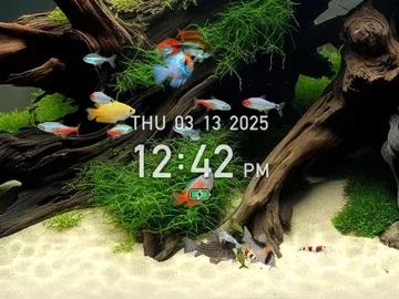 Tropical Fish Tank - Mini Aqua