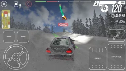 CarX Rally