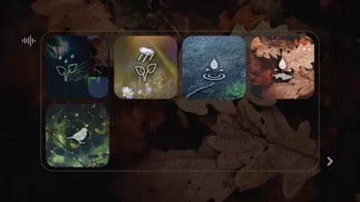 Somewhere - Rain Sound ASMR