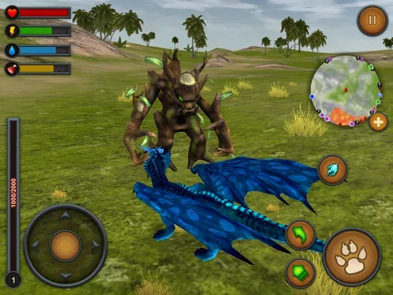 Dragon Multiplayer 3D