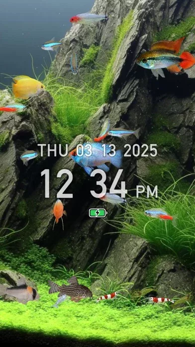 Tropical Fish Tank - Mini Aqua
