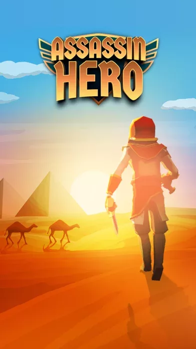 Assassin Hero: Infinity Master