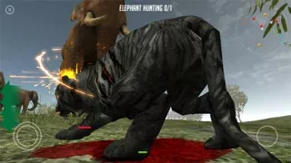 Life Of Black Tiger