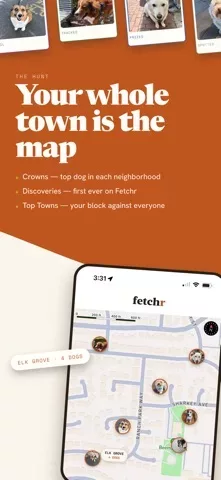 Fetchr — Catch Every Dog