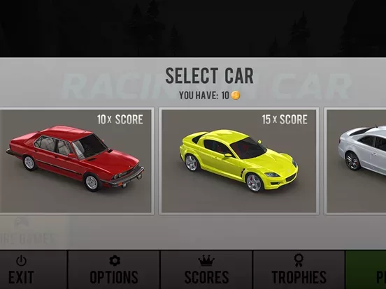 Racing in Car
