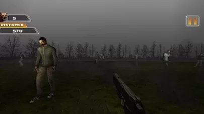 В джунгли