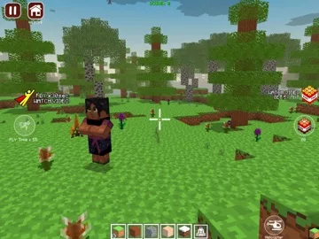 World Craft Dream Island