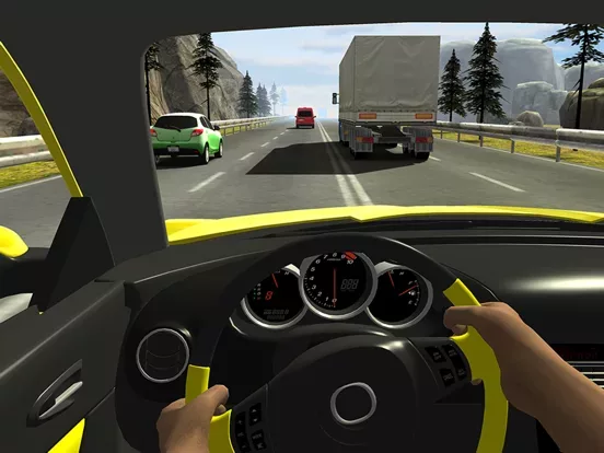 Racing in Car